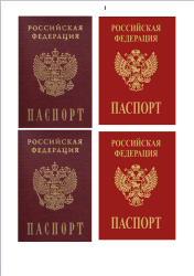 Изображение Паспорт 01